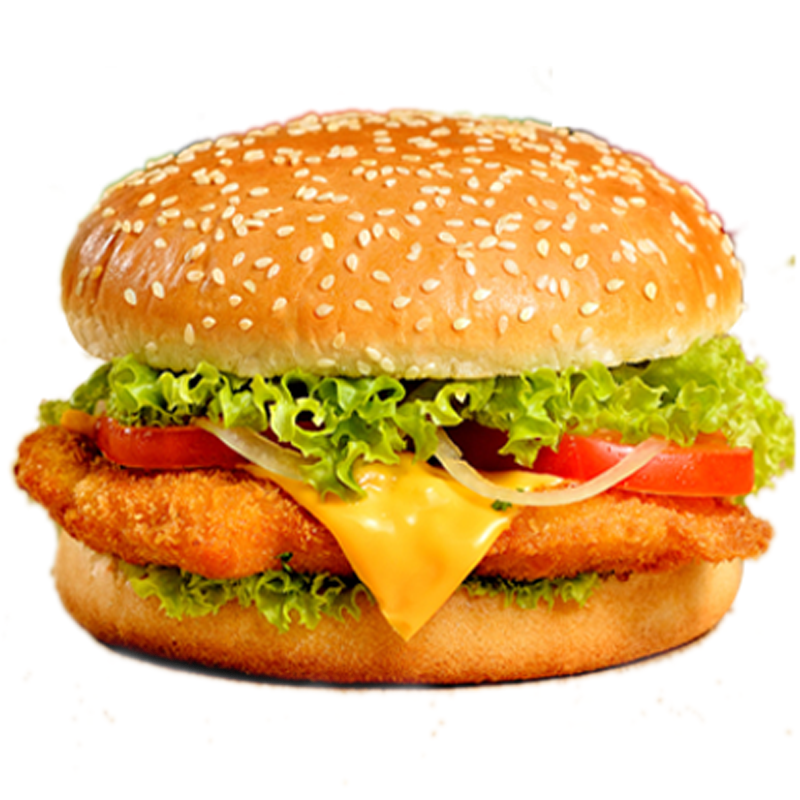 SPECIAL BURGER